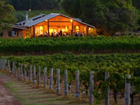 Cullen Wines - Biodynamic Wine Room, Wilyabrup, Western Australia