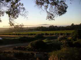 Galafrey Wines, Mount Barker, Western Australia