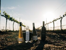 Olive Farm Wines, Millendon, Western Australia