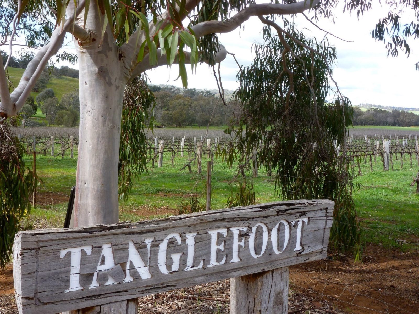 Tanglewood Wines, Wandering, Western Australia