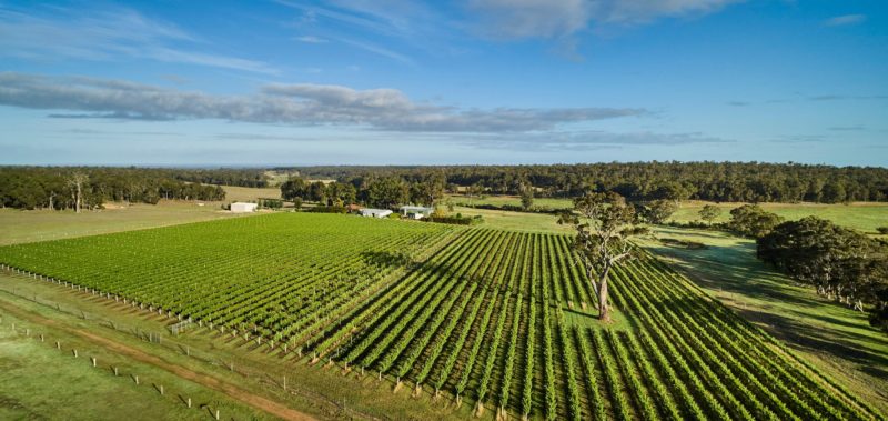 Whicher Ridge Wines, Chapman Hill, Western Australia