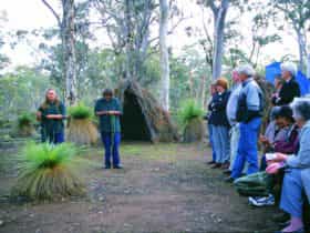 Dryandra, Western Australia