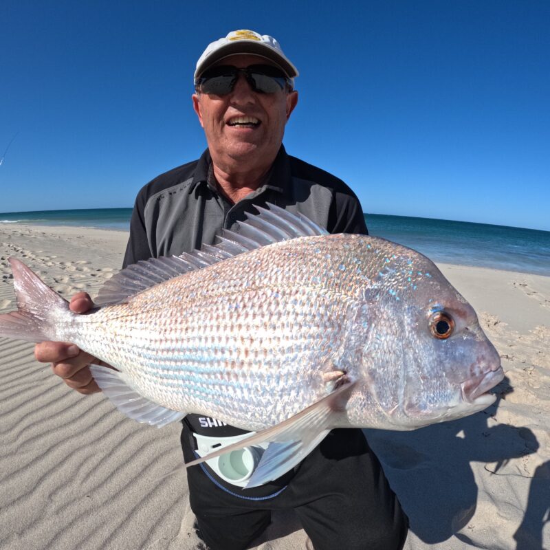 A lovely WA land based Pink snapper caught on our drone mission North of Perth by Santo