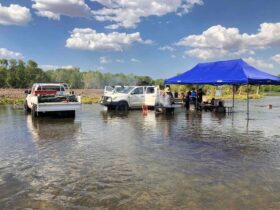 Cook up happening in water with 4WD in background.