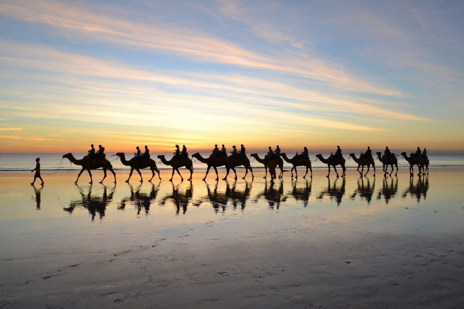 Sundowner Camel Tours, Broome, Western Australia
