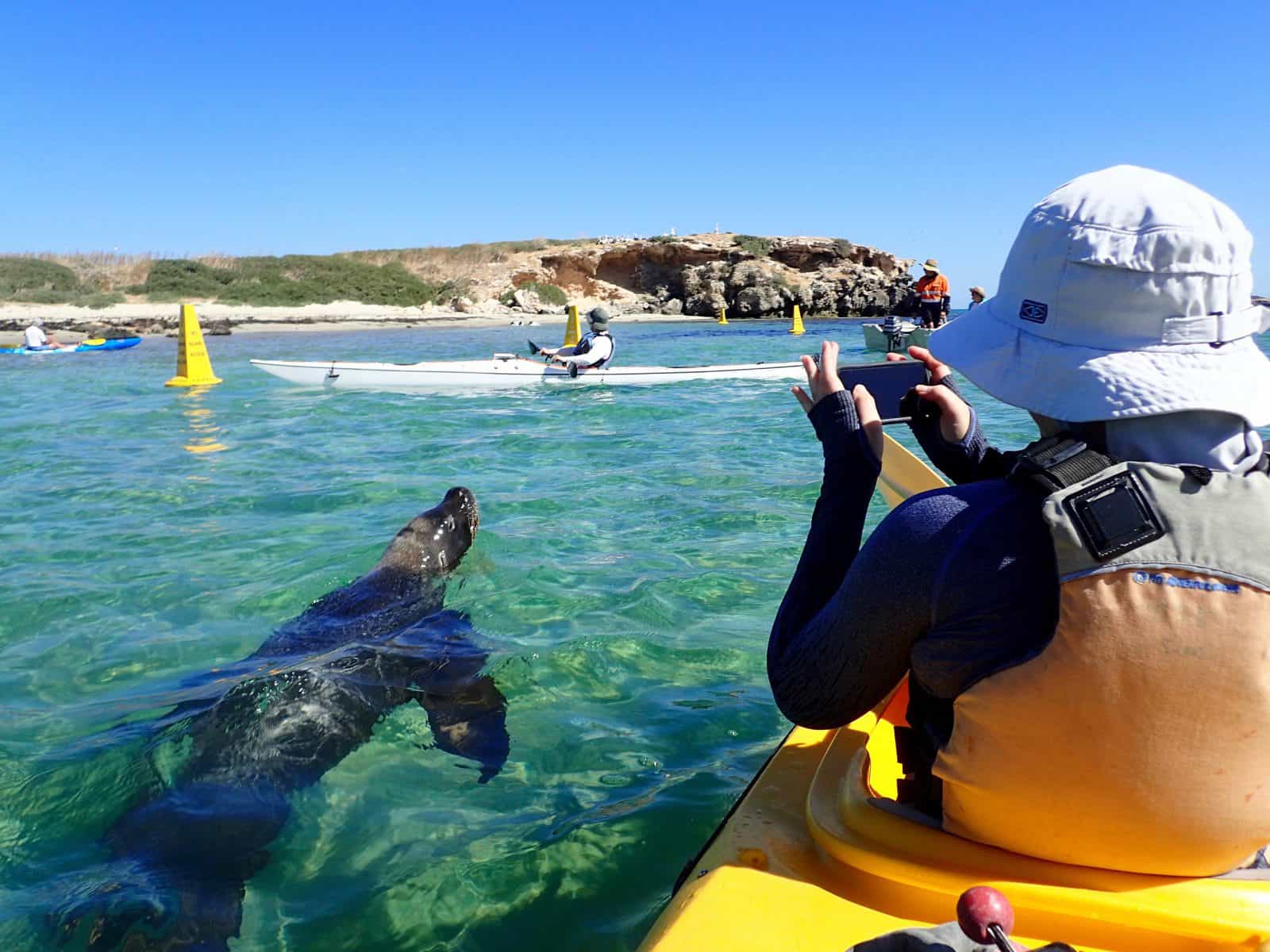 Capricorn Sea Kayaking, Shoalwater, Western Australia