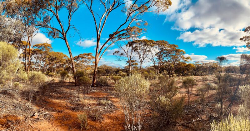 There is nothing like the Australian Outback for it's beauty.