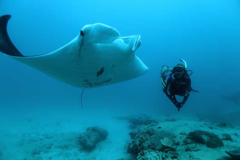 Dive Ningaloo, Exmouth, Western Australia
