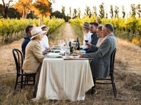 Earn Your Vino vineyard picnic