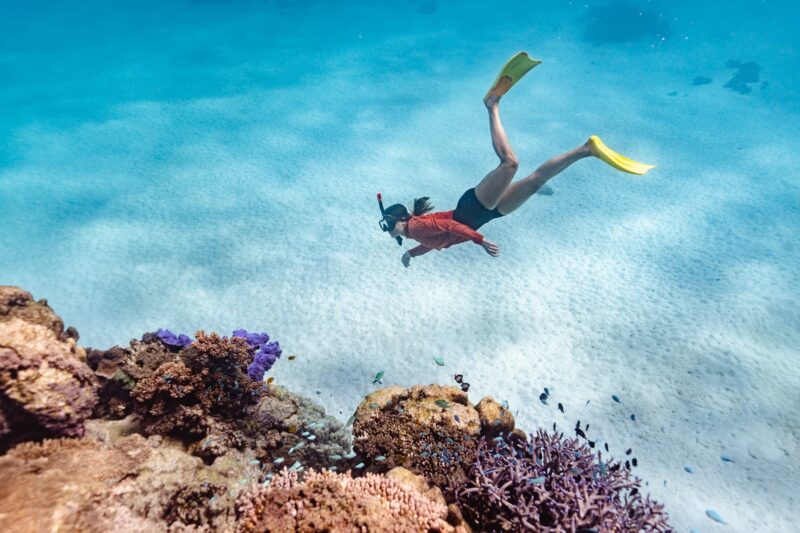 A lady snorkelling below the surface in crystal clear water, with coral and small fish in the foregr