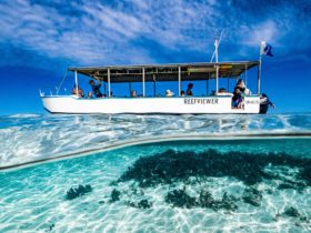 Ningaloo Ecology Cruises Glass Bottom Boat, Exmouth, Western Australia