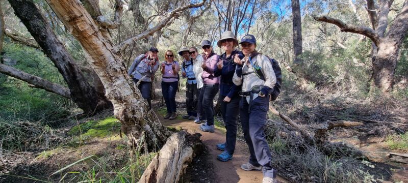 Happy hikers on boardwalk on Hidden gems Of Perth Tour