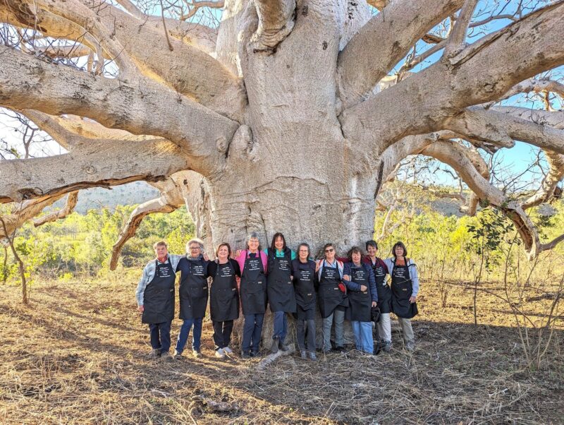 Ten artists in black aprons link arms beneath a large boab tree