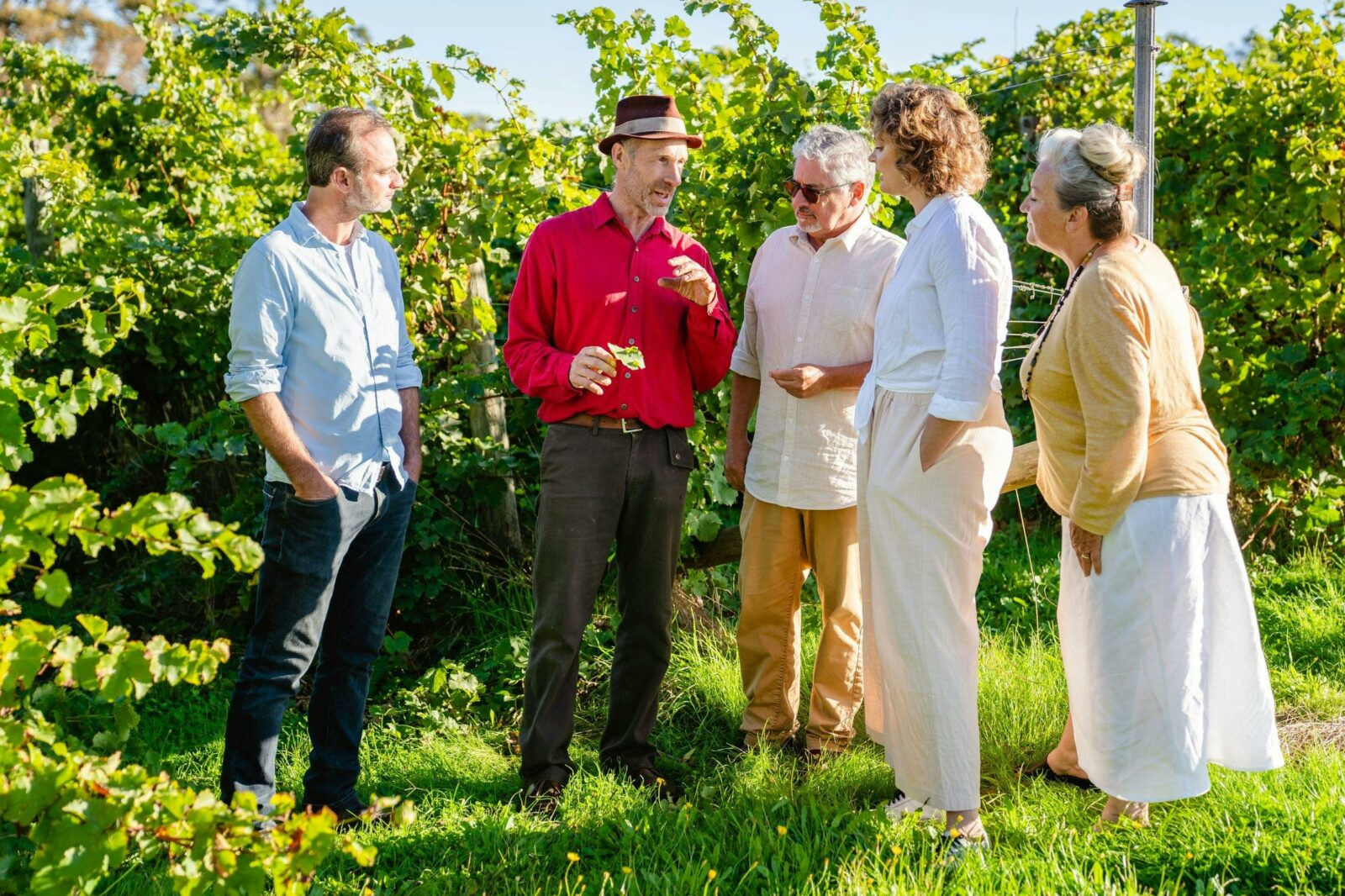Five people tasting grapes in a vineyard