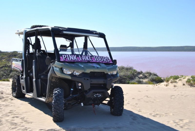 Pink Lake Tours, Gregory, Western Australia