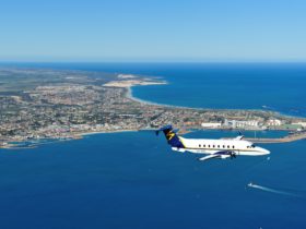 The Tour flights range from a 30 minute Town Buzz to a Full Day Fly and Flipper tour to the Abrolhos