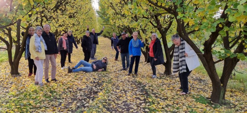 A group posing in the Orchard