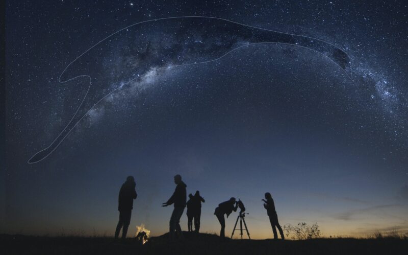 Join your Yinggarda guide for cultural star stories beneath a clear Gascoyne night sky.