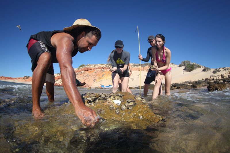 Wula Gura Nyinda Eco Cultural Adventures, Denham, Western Australia
